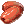 Ícone de Kurma