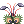 Ícone de Traje: Presilha de Drosera