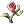 Ícone de Flor de Céu