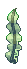 Visual de Alga no cliente