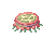 Visual de Furious Plankton no cliente