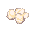 Visual de Ovo de Formiga no cliente