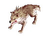 Visual de Lobo de Deserto no cliente