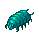Visual de Larva de Faceworm no cliente
